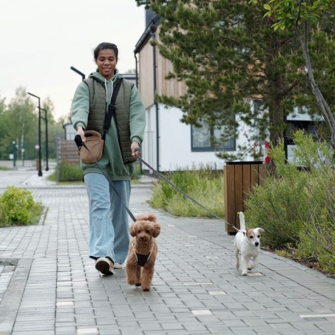 Itzhome Warrington Pet Sitting Work Opportunities