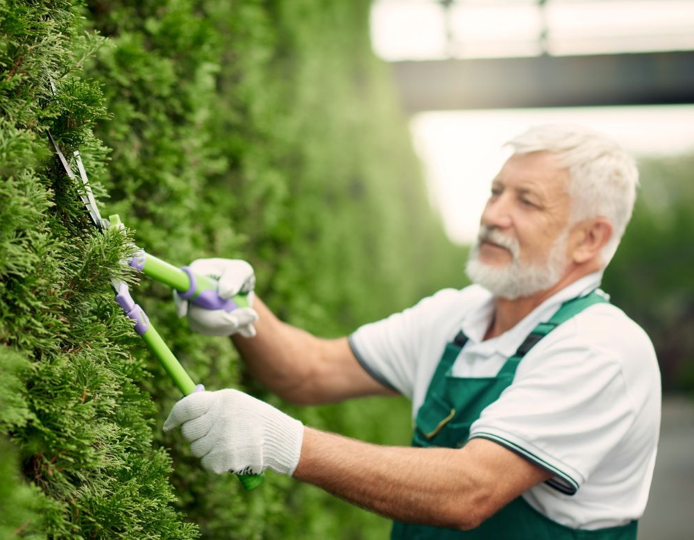Gardening Services Hampstead