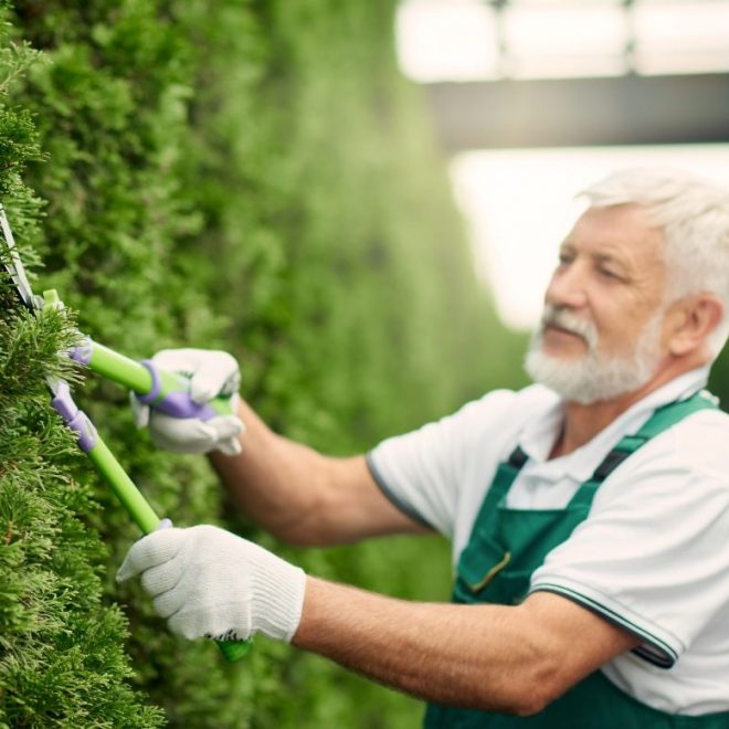 Itzhome Nottingham Gardening Services