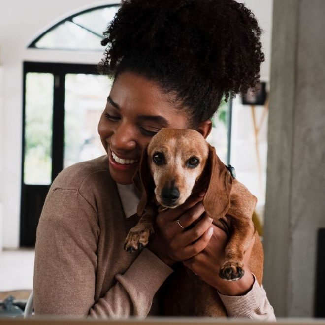 Itzhome Solihull Pet Sitting Services