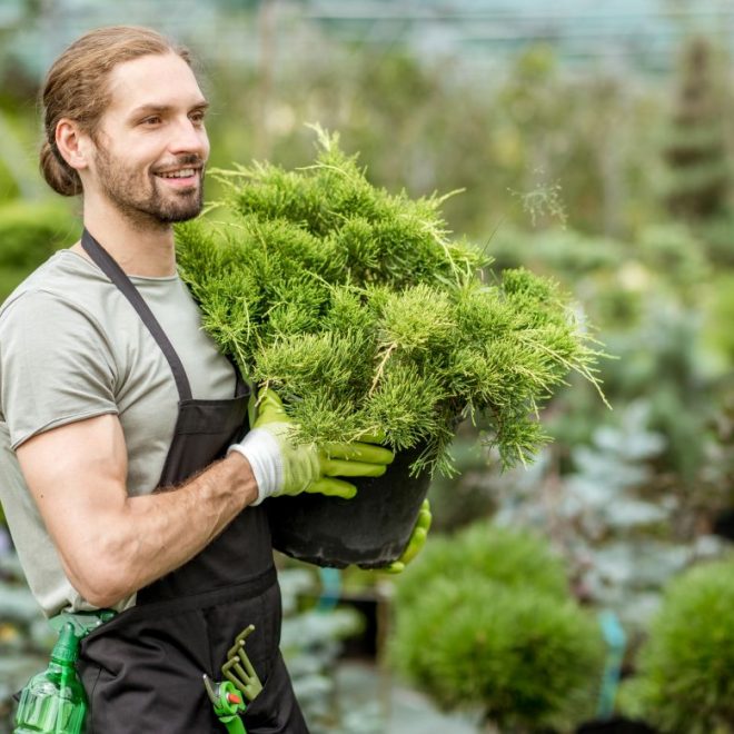 Itzhome West Lancashire Gardening Services