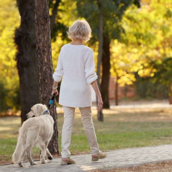 Itzhome Westminster Pet Sitting Services