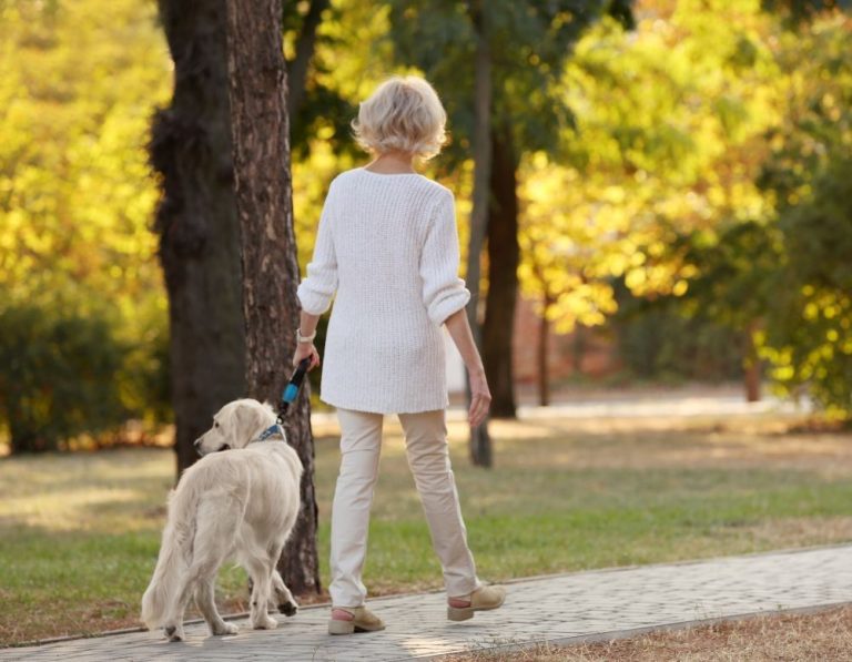 Itzhome Westminster Pet Sitting Services