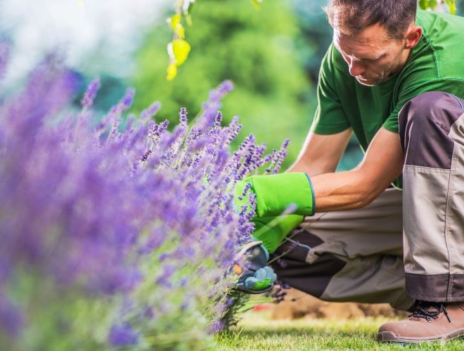Itzhome York Gardening Services