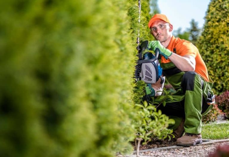 Itzhome Bolton Gardening Services