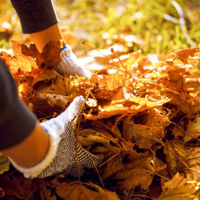 Itzhome Horsham and Redhill Gardening Services