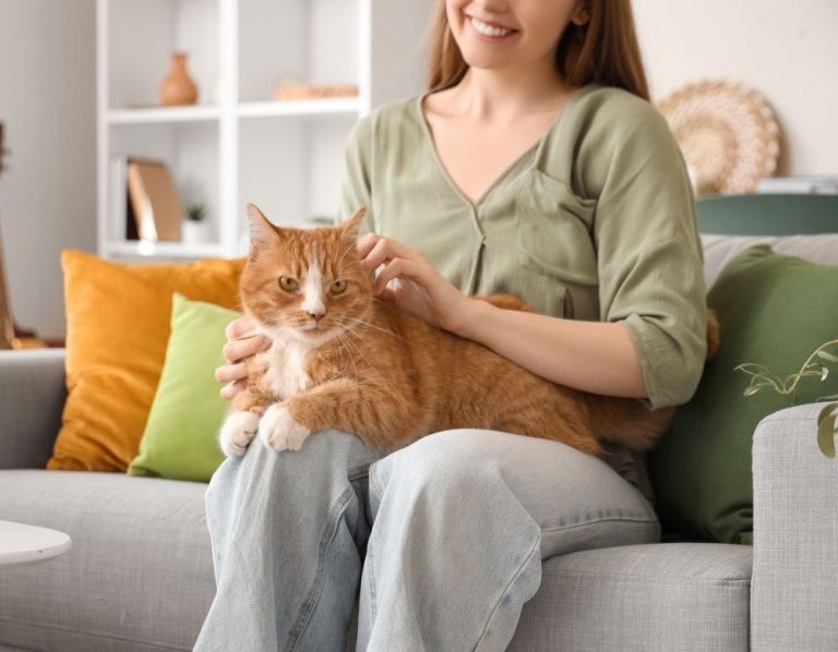 Itzhome Barnet & Enfield Pet Sitting Services