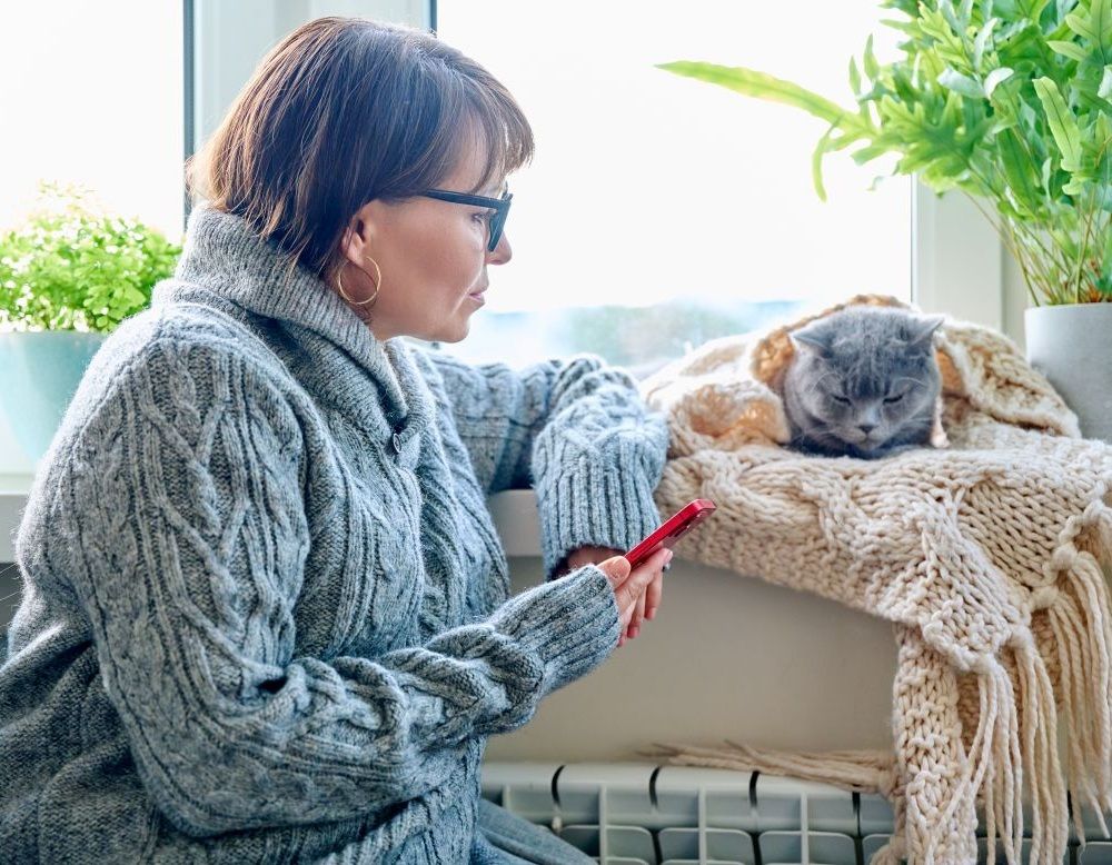 Horsham and Redhill Pet Sitting Professionals