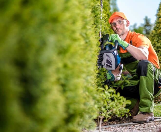 Itzhome Wrexham, Telford and Shrewsbury Gardening Services