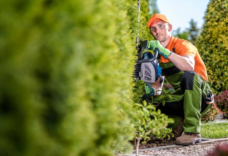 Gardening Services in Wrexham, Telford and Shrewsbury